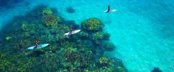 sup stand up paddle surfing