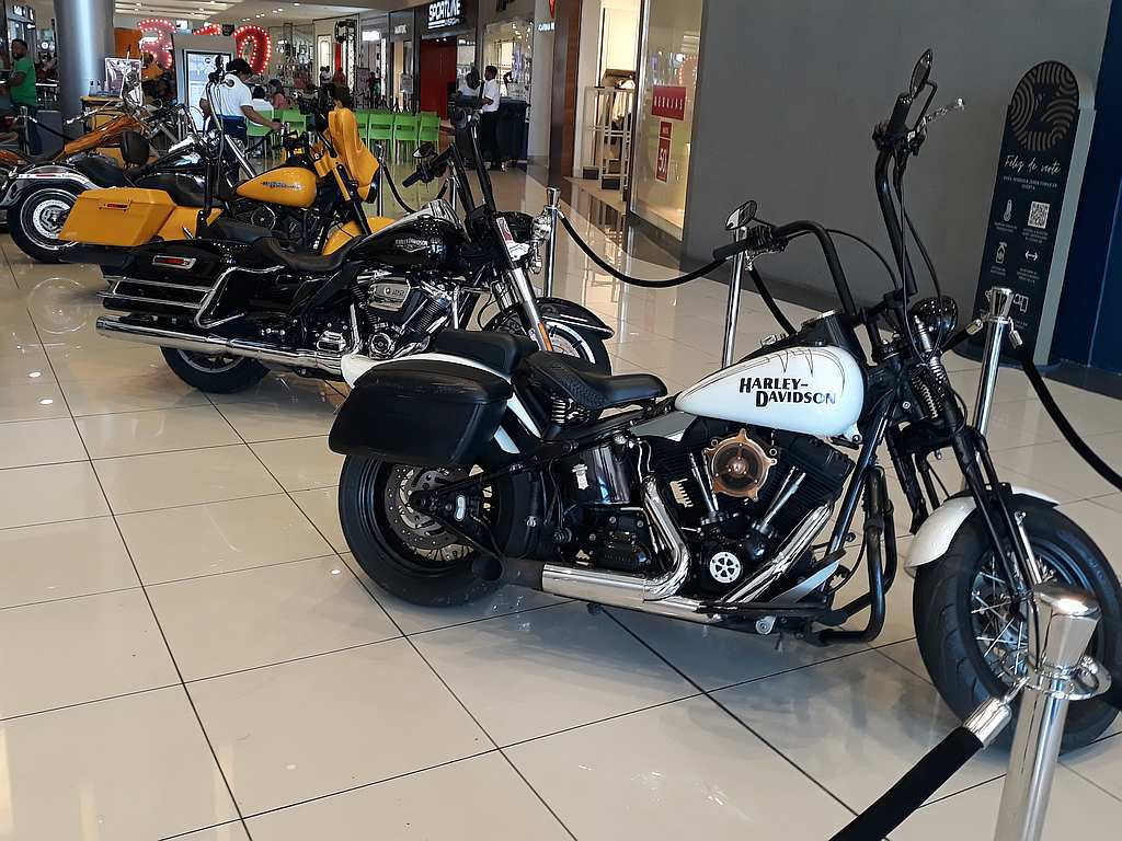 Harley Davidson bikes are popular here